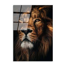 Wallity UV-159 Multicolor 70 x 100 cm